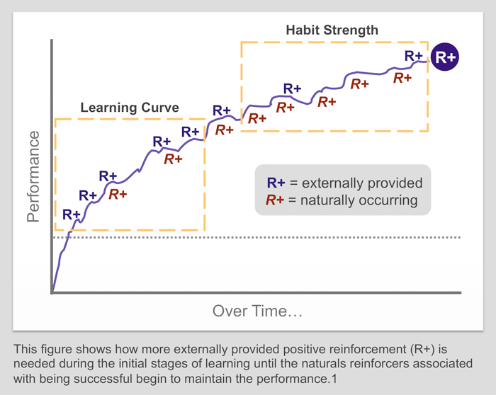 learning curve, habit strenght