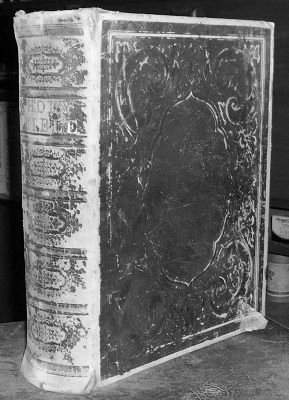 Skinner Family Bible