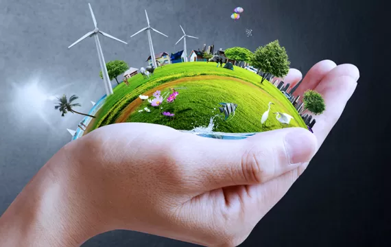 Sustainability