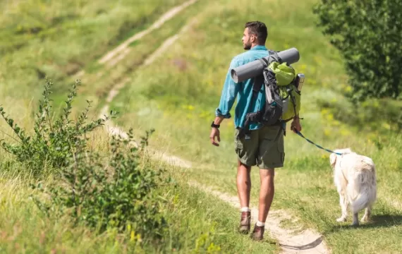 Rear view of traveler walking with dog on path on summer meadow