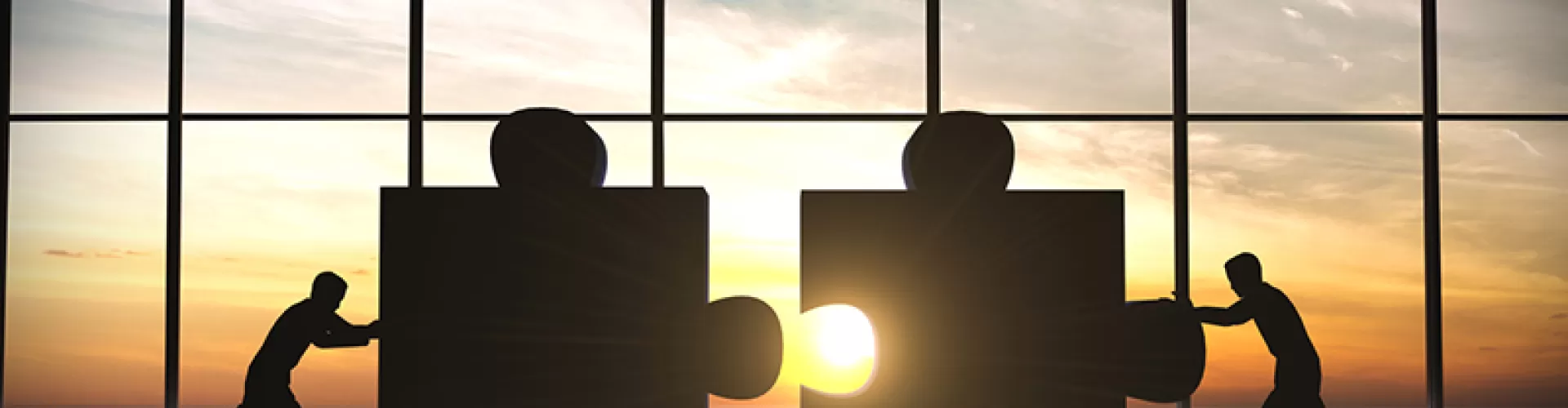 Achieving the Promise of Acquisition Success
