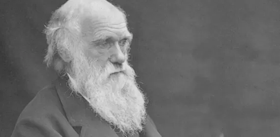 Darwin
