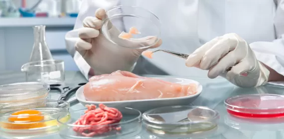 Inspecting Our way to safer food