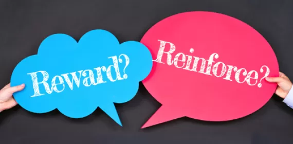 Reward or Reinforce