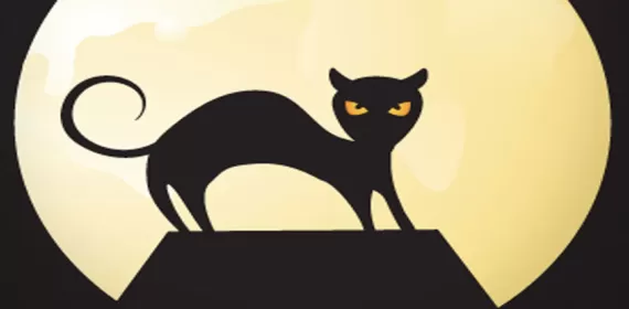 Superstitious Behavior