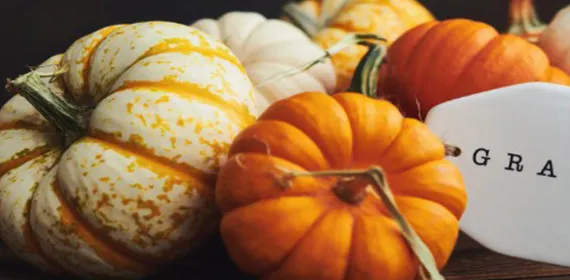 Pumpkins and Card with Grateful