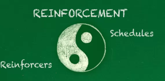 Yin and Yang of Reinforcement