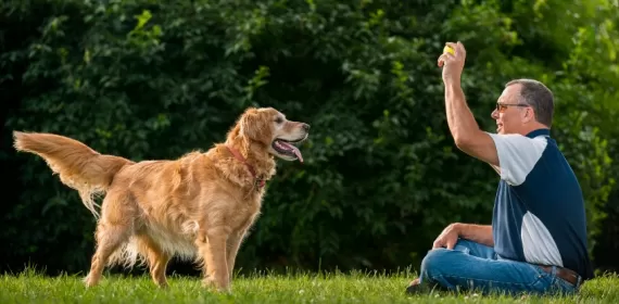 Pet projects