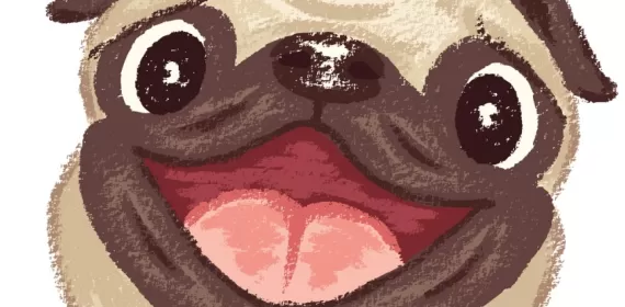 A pug
