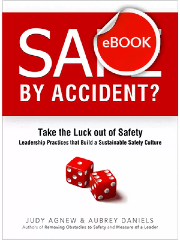 Safe by Accident eBook