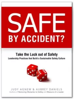 Safe by Accident Book Cover