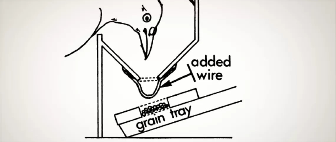 Gerbrands Feeders theft device